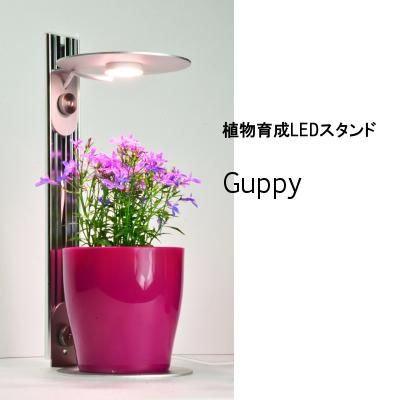 植物育成ledスタンド Guppy タカ グリーンフィールズ