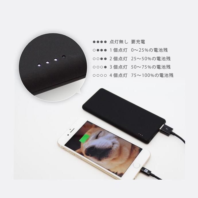 Other Brands FLUX / BATTERY 大容量5000mAh 薄型モバイルバッテリー 02