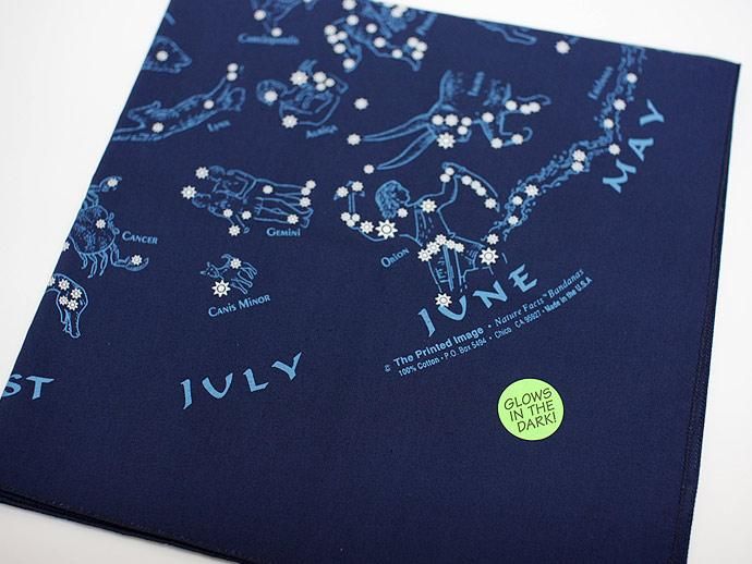 Other Brands The Printed Image / Nature Facts Bandanas - Stars(ブリンテッドイメージ/ネイチャープリントバンダナ スターズ) <img class='new_mark_img2' src='//img.shop-pro.jp/img/new/icons47.gif' style='border:none;display:inline;margin:0px;padding:0px;width:auto;' /> 02