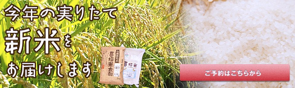 今年の実りたて新米をお届けします 無農薬・無化学肥料米 ひとめぼれ　暮坪米