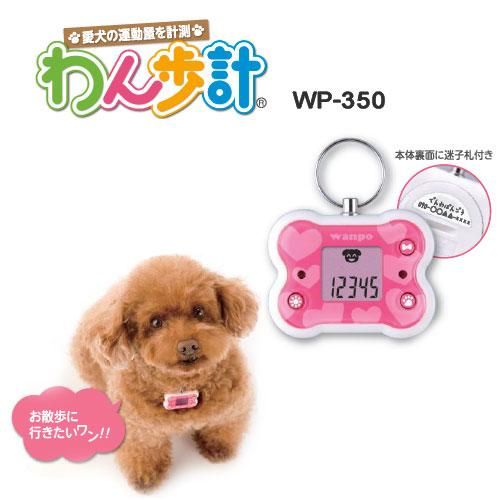 Wan Nyan 4Go