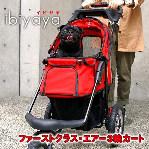 ibiyayaʥӥ˥եȥ饹3إ
