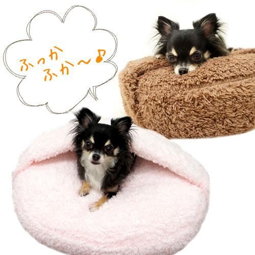KONOKO դդդ٥å
