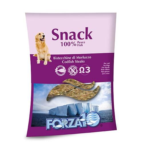 FORZA10ɥ饤ʥå
