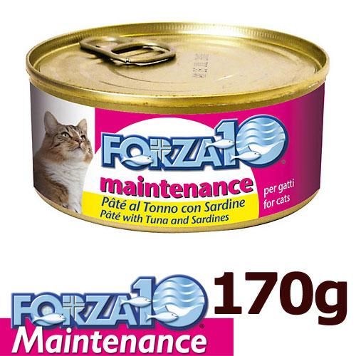 FORZA10ǭѤΥåȡ̵ͼ