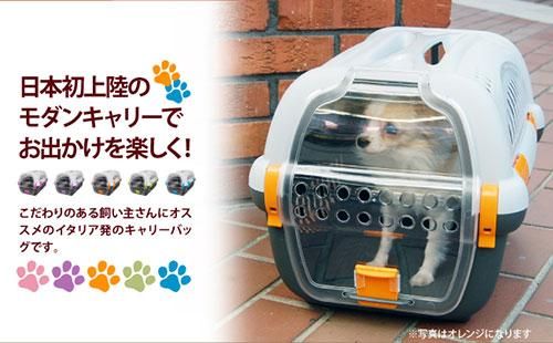 RHINOʥ꡼Ρ