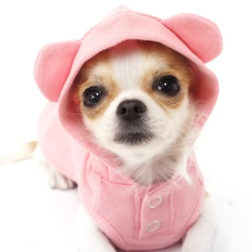 Coo Coutureۥ塼 heatwanHUG ME ѡ