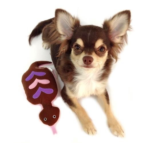ĤΤ