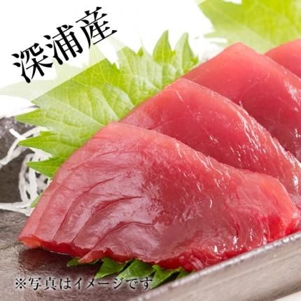 天然本マグロ 赤身セット 深浦 600g 0g 3 青森マグロ専門店 あおもり海山ネットショップ