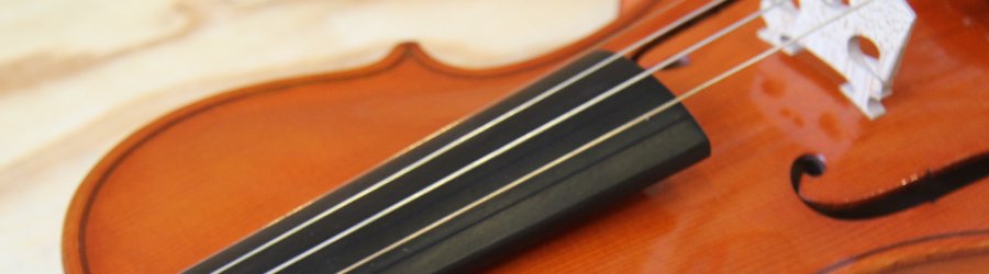 Stradivarius label バイオリン | チェコスロバキア