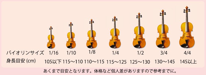 格安 バイオリン 分数 1/10 - 弦楽器 - www.smithsfalls.ca