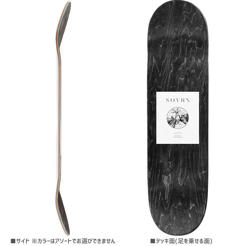 3000円 【即発送可能】 スケートボード SOVRN ソバーン