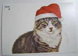 クリスマスポストカード メインクーンサンタ 猫雑貨 猫グッズ専門通販 猫的生活百貨店 けいと屋ニコル