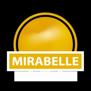電子タバコ用リキッドVDLV Mirabelle Plum 10ml