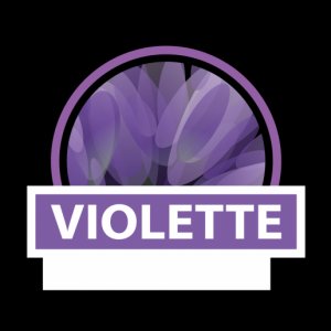 電子タバコ用リキッドVDLV Violet 10ml
