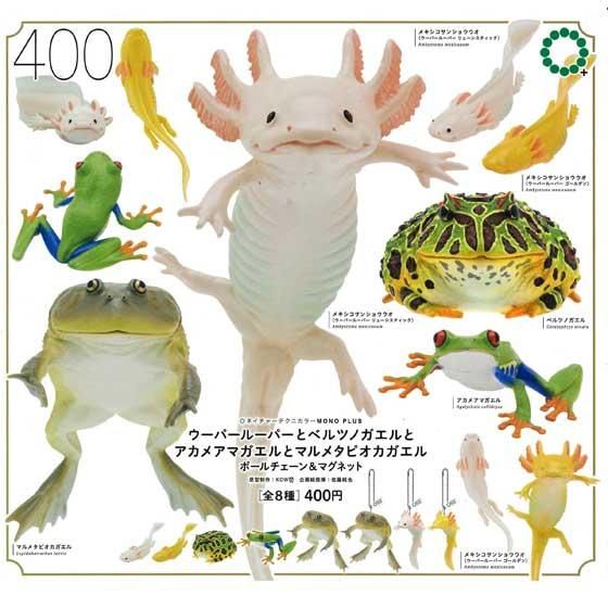 いきもん ウーパールーパーとベルツノガエルとアカメアマガエルとマルメタピオカガエル全8種フルセット Tc00 ガシャポン フィギュア トミカ 食玩 販売 通販 大阪 日本橋 Toy S Zero トイズゼロ いきもん ウーパールーパーとベルツノガエルとアカメアマガエルとマルメタピオカガエル全8種フルセット Tc00 ガシャポン フィギュア トミカ 食玩 販売 通販 大阪 日本橋 Toy S Zero トイズゼロ