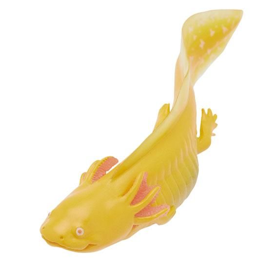 いきもん ウーパールーパー ゴールデン マグネット Tc0022 ガシャポン フィギュア トミカ 食玩 販売 通販 大阪 日本橋 Toy S Zero トイズゼロ