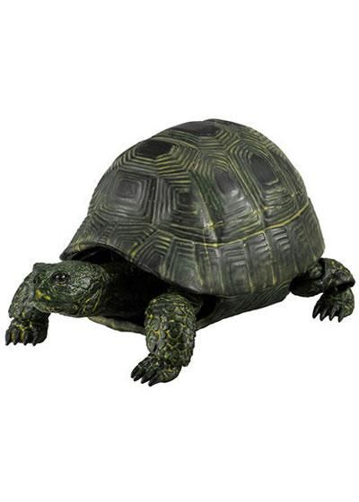 バンダイ かめ０２ ブラックギリシャリクガメ 0276 ガシャポン フィギュア トミカ 食玩 販売 通販 大阪 日本橋 Toy S Zero トイズゼロ