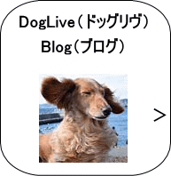 DogLi Blog
