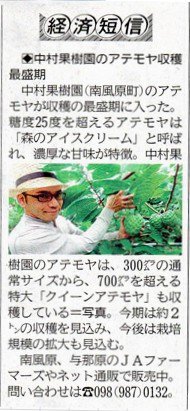 2016年　琉球新報に掲載