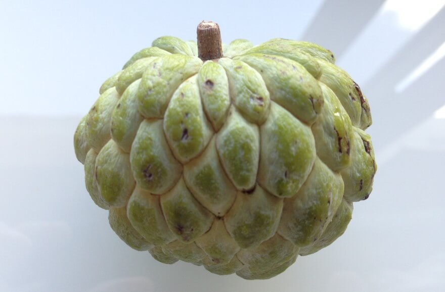 釈迦頭は東南アジアなどの熱帯地域で広く人気のある甘みの強いフルーツです