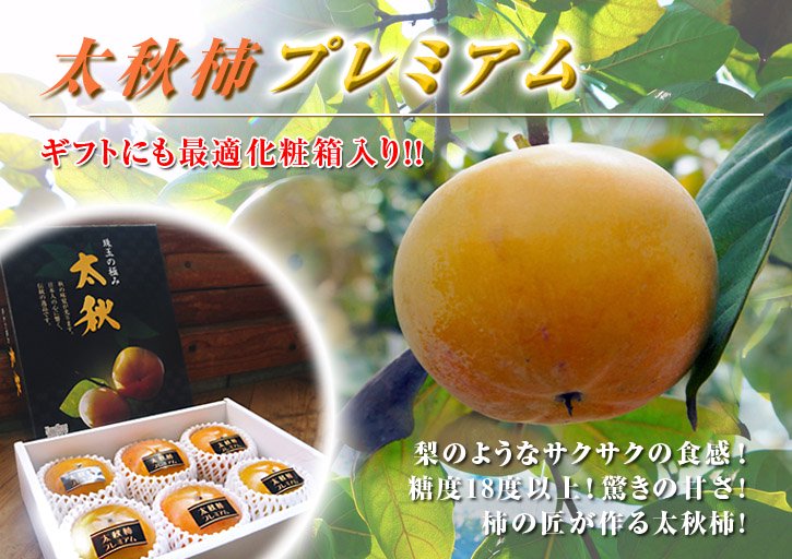 太秋柿バナー化粧箱