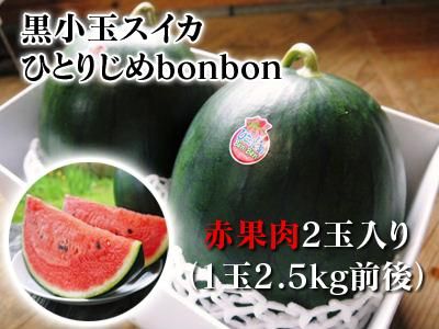 九州熊本産すいか ひとりじめbonbon 九州熊本産の米や果物など 農家直送通販 Flcパートナーズストア