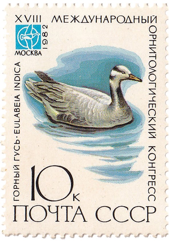 第18回国際鳥類学会記念切手山ガチョウ