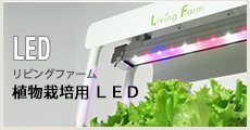 植物栽培用LED