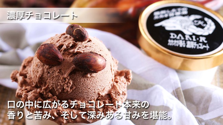 チョコレートアイス通販サイト"