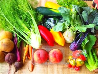 野菜にたっぷり含まれる酵素の基礎知識
