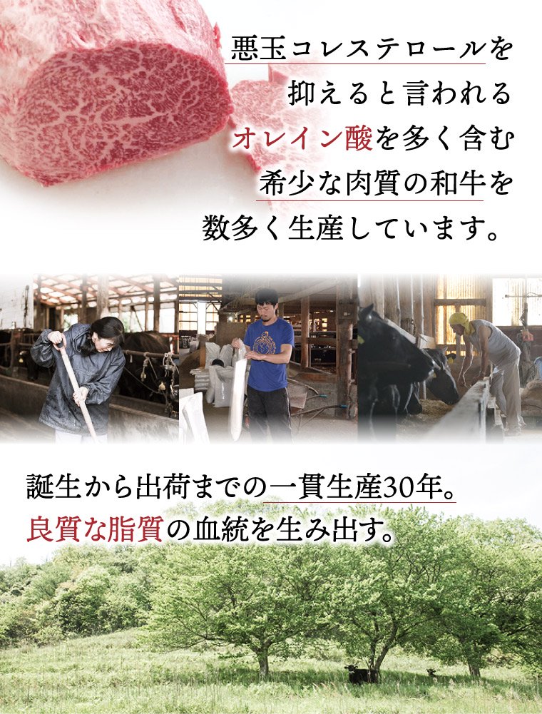 悪玉コレステロールを抑えると言われるオレイン酸を多く含む希少な肉質の和牛を数多く生産しています。誕生から出荷までの一貫生産を30年。良質な脂質の血統を生み出す。