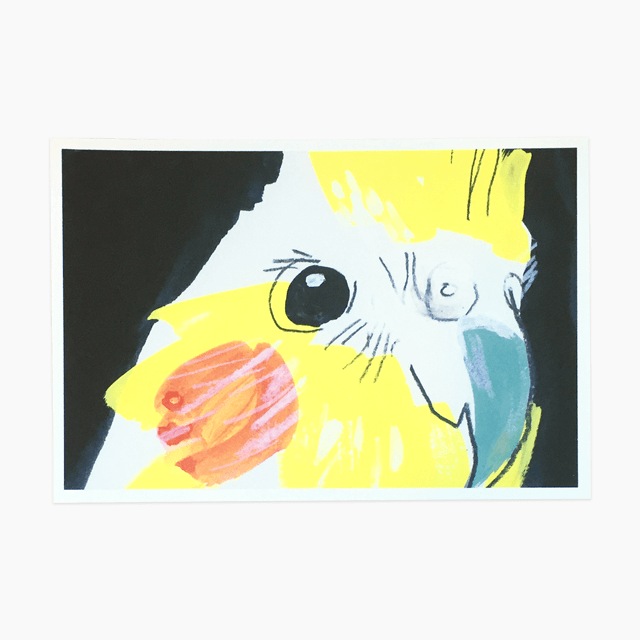 イラストレーター オクムラミチヨが描く オカメインコのポストカード Birdstoryshop イラストレーター オクムラミチヨが描く オカメインコのポストカード Birdstoryshop